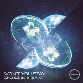 Won't You Stay (Chords 2019 Remix) by Indivision Cover Art