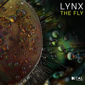 The Fly by Lynx Cover Art