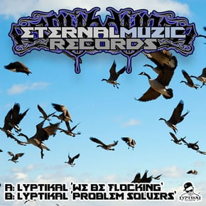 Flocking/Problemsolvers by Lyptikal Cover Art