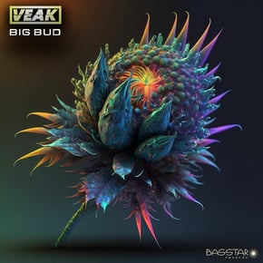 Big Bud by Salaryman & Veak Cover Art