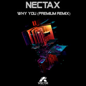 Why You (Premium Remix) by Premium Cover Art
