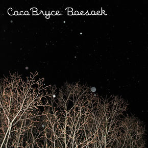 Boesoek by Coco Bryce Cover Art