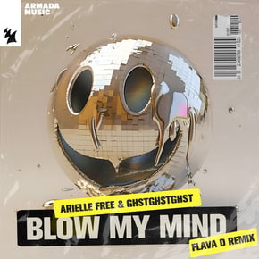 Blow My Mind (Flava D Remix) by Flava D Cover Art