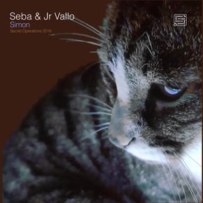 Simon by Seba Cover Art
