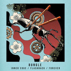 Flashback by Bungle Cover Art