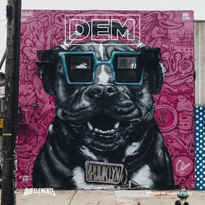 School Of Hard Knocks by Dub Elements Cover Art