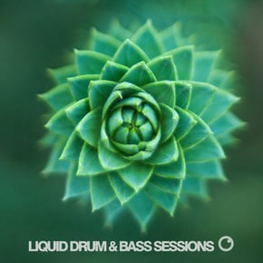 Liquid Drum & Bass Sessions 2019 Vol 3 by Dreazz Cover Art