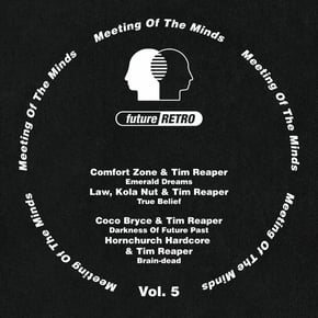Meeting Of The Minds, Vol. 5 by Theory & Tim Reaper Cover Art