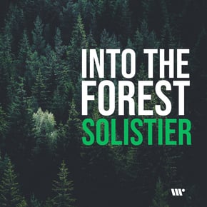 Into The Forest by Solistier Cover Art