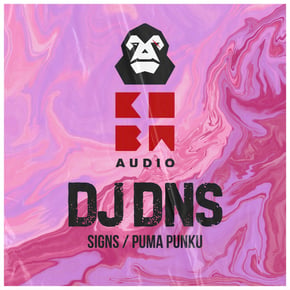 Signs / Puma Punku by Dj Dns Cover Art