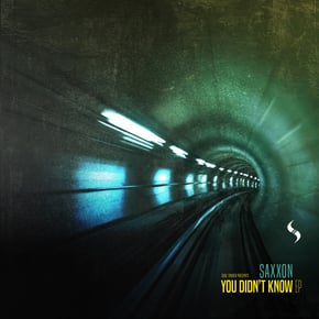 You Didn't Know by Saxxon Cover Art