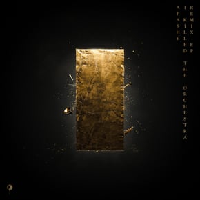 Never Change (The Caracal Project Remix) by The Caracal Project Cover Art