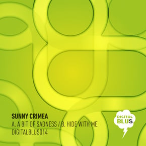 A Bit Of A Sadness / Hide With Me by Sunny Crimea Cover Art