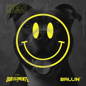 Ballin' by Dub Elements Cover Art