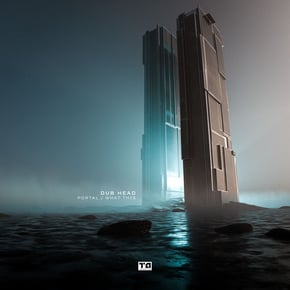 Portal / What This by Dub Head Cover Art
