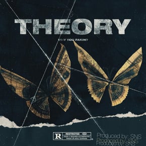 Why You Fakin? by Theory Cover Art