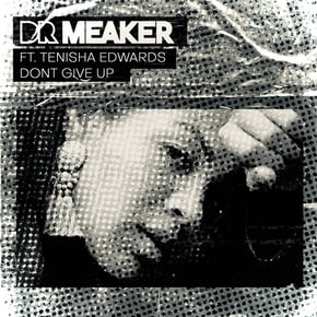 Don't Give Up by Dr Meaker, Tenisha Edwards & Celestine Cover Art