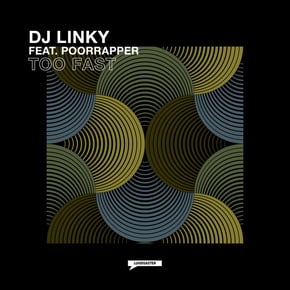 Too Fast by DJ Linky Cover Art