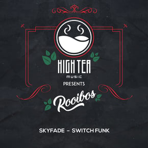 Switch Funk by Skyfade Cover Art
