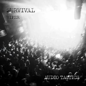 This Is the Dancehall / Viper by Survival Cover Art