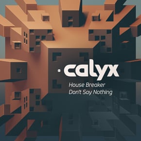 House Breaker / Don't Say Nothing by Calyx Cover Art