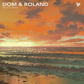 Beach Bum / Dred Sound by Dom & Roland Cover Art