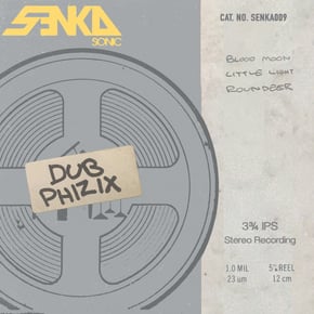 SENKA009 by Dub Phizix Cover Art