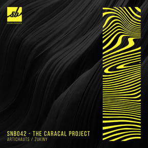 Artichauts / Zukiny by The Caracal Project Cover Art