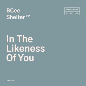In The Likeness Of You by BCee Cover Art