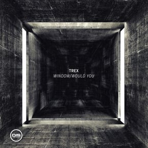 Window / Would You by Trex Cover Art