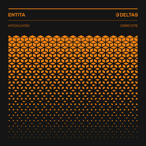 Intoxicated by Entita Cover Art