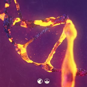 No More by S.P.Y Cover Art