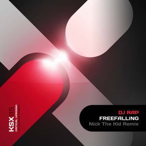 Freefalling by DJ Rap Cover Art