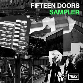 FIFTEEN DOORS Sampler by Teej & Trex Cover Art