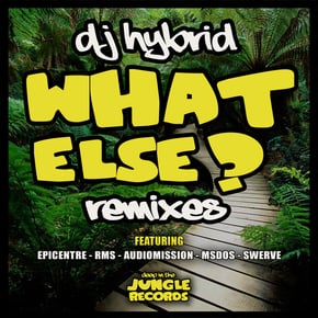 What Else Remixes by DJ Hybrid Cover Art