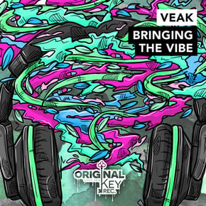 Bringing The Vibe by DJ Direkt & Veak Cover Art