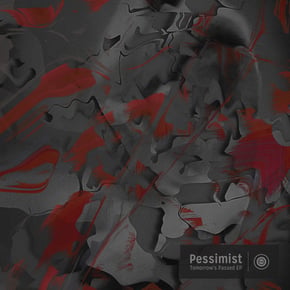 The Pessimist by Pessimist Cover Art