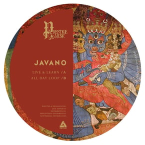 Live & Learn / All Day Loop (Original) by Javano Cover Art