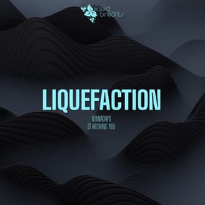 Nowadays by Liquefaction Cover Art