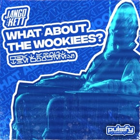 What About The Wookiees by Jango Kett Cover Art