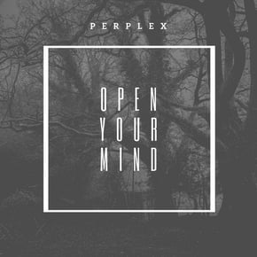 Open Your Mind by Perplex (DNB) Cover Art
