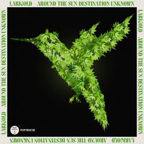 Around The Sun - Destination Unknown by Larigold Cover Art