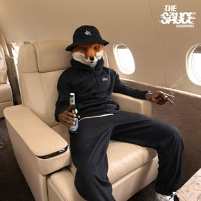 First Class by The Sauce & Fox Cover Art