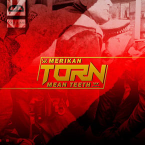 Torn (Mean Teeth Remix) by Merikan Cover Art