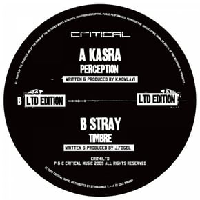Perception by Kasra & Stray Cover Art