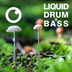 Liquid Drum & Bass Sessions 2020 Vol 36 : The Mix by Dreazz Cover Art