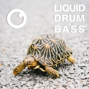 Liquid Drum & Bass Sessions #53 by Dreazz Cover Art