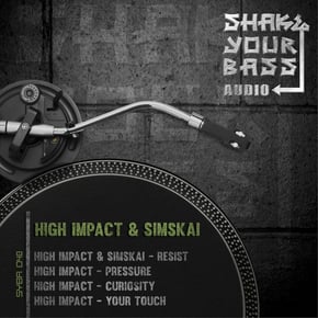 Resist by Simskai Cover Art