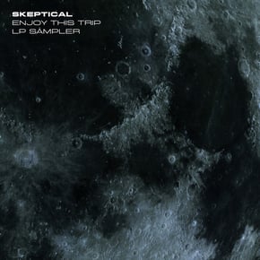 Enjoy This Trip by Skeptical Cover Art