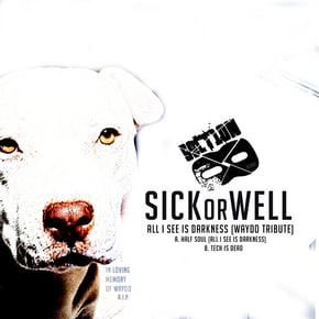 All I See Is Darkness (WAYDO Tribute) by SICKorWELL Cover Art